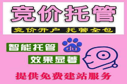 搜索引擎营销（SEM）的运营技巧与实际案例